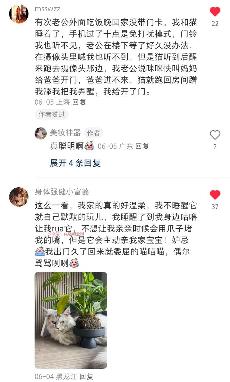 小红书女粉多，养萌宠 养…#情报-搞钱情报论坛-网创交流-优选副业网
